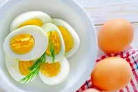 تخم مرغ، بمب انرژی است | وعده طلایی که نباید از دست بدهید