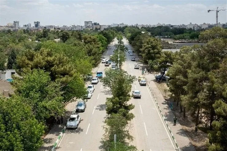 آغاز فرایند تغییر الگوی کاشت معابرشهری مشهد | گونه‌های بومی و کم نیاز جایگزین گونه‌های پرمصرف