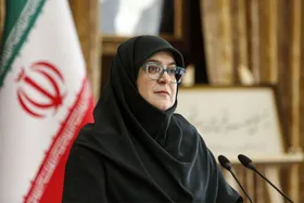 مهاجرانی در حاشیه جلسه هیئت دولت: خواسته مردم، خروج اتباع غیرمجاز از ایران است