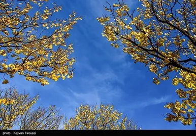 ایران زیباست | پاییز رنگارنگ کردستان