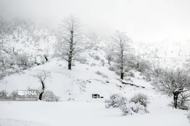 ایران زیباست | گلستان برفی
