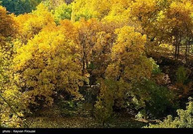 ایران زیباست | پاییز رنگارنگ کردستان