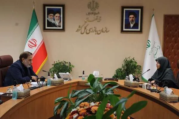 سازمان بازرسی