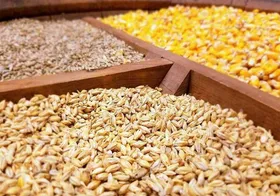 نظارت میدانی نمایندگان مجلس از استان خوزستان| خبری از نهاده&zwnj;های دپو شده در بنادر پس از حذف ارز ترجیحی نیست