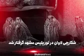 از تله‌های دست‌ساز تا پرندگان میلیاردی | پایان کار شکارچی حرفه‌ای در مشهد + فیلم
