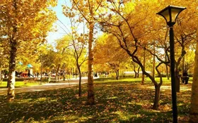 ۷۲ معبر پاییزی زیر پای مشهدی&zwnj;ها