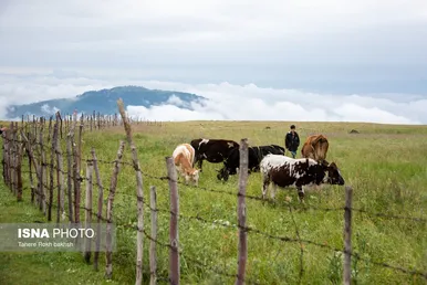 ایران زیباست | سوباتان بهشت مه آلود ایران