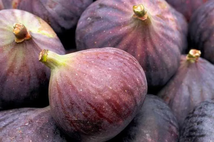عوارض خطرناک زیاده‌روی در مصرف انجیر