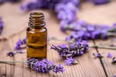 آشنایی با خواص اسطوخودوس | گیاهی آرام‌بخش با ویژگی‌های باورنکردنی