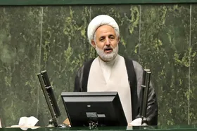 ذوالنوری: شرم بر کشور&zwnj;های اروپایی؛ زن اروپایی پس از ازدواج نام مستقل از خودش ندارد!