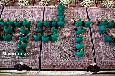 آئین شام غریبان امام رضا (ع)