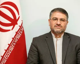 رئیس پزشکی قانونی در پاسخ به رئیس&zwnj; جمهوری: دولت باید این آمار را اعلام کند