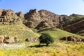 آسمان صاف و هوای معتدل مشهد در روز عید سعید قربان
