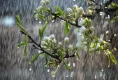 چرا روز ۱۳ تیر را جشن تیرگان نامیدند؟