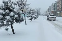 آیا مدارس، ادارات و بانک های تهران فردا (شنبه ۲۰ بهمن ۱۴۰۳) تعطیل است؟