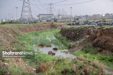گزارش تصویری | بارش باران بهاری در مشهد (۲۶ فروردین ماه ۱۴۰۴)