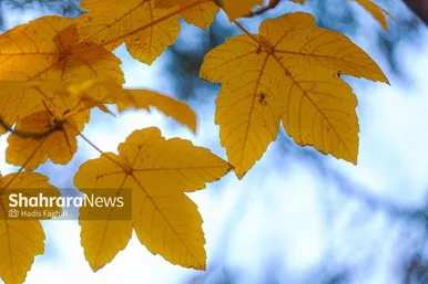 عکس‌هایی از طبیعت پاییزی بوستان وکیل آباد مشهد