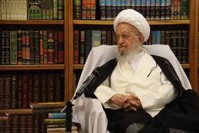 نظر آیت&zwnj;الله مکارم&zwnj;شیرازی درباره درآمد حاصل از بازی &laquo;همستر کامبت&raquo;