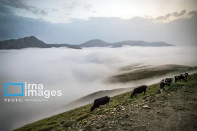 ایران زیباست | ییلاق در کوهستان