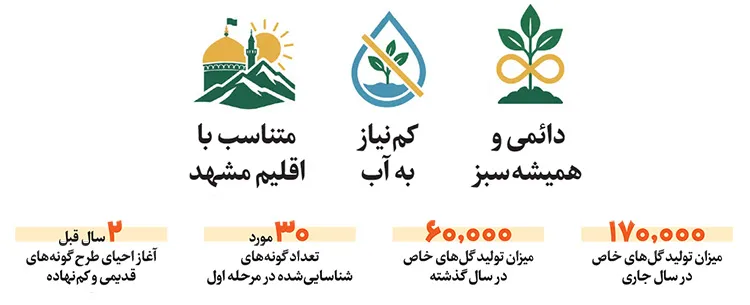 کاشت گل‌های سازگار و ماندگار در فضای سبز شهری مشهد