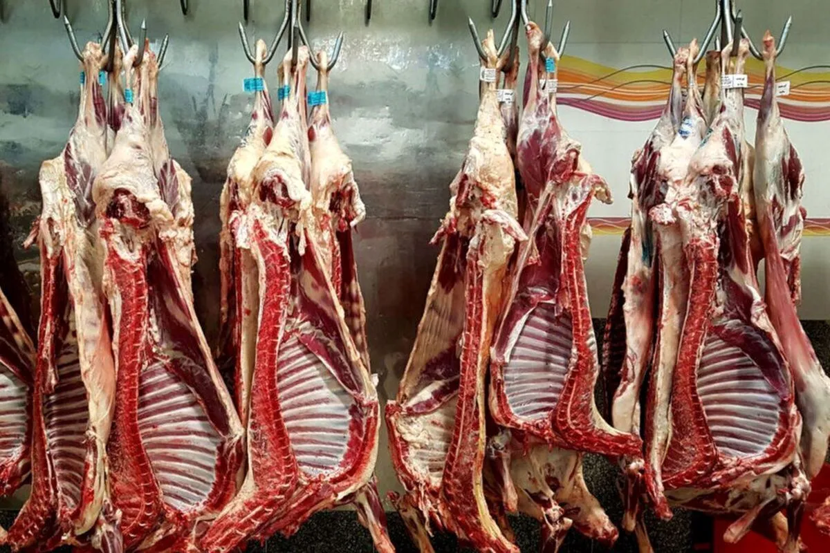 قیمت گوشت گوسفندی، گوساله و مرغ در آخرین روز کاری سال در مشهد | گوشت آبگوشتی کیلویی ۴۴۷ هزار تومان (۲۸ اسفند ۱۴۰۳)
