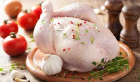 مصرف مرغ با وزن بیش از یک کیلو و ۸۰۰ گرم مضر است