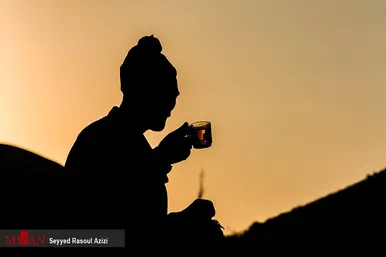 برداشت گردو در اطراف شهر درگز