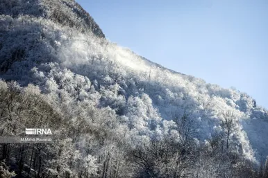 گلستان در زمستان