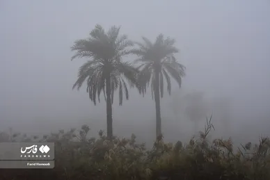 مه در آبادان (۱۹ آذر ۱۴۰۲)