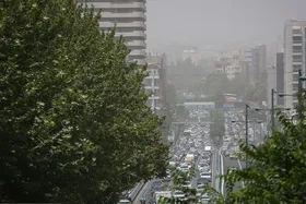 ویدئو| تاثیرات وحشتناک آلودگی هوا بر بدن