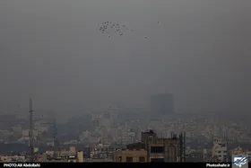 آلودگی هوا سالانه منجر به ۷ میلیون مرگ زودرس در جهان می&zwnj;شود