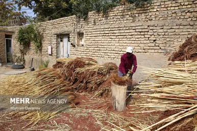 گزارش تصویری | جاروبافی در روستای ملاحسن