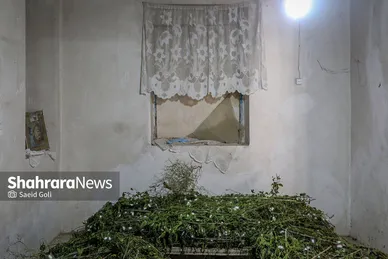 ابریشم کشی در بایگ