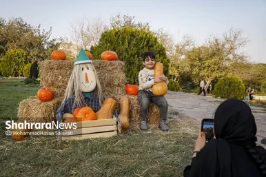 گزارش تصویری | طعم و رنگ پاییز در باغ مشهد