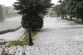 ویدئو| بارش شدید تگرگ در شمشک