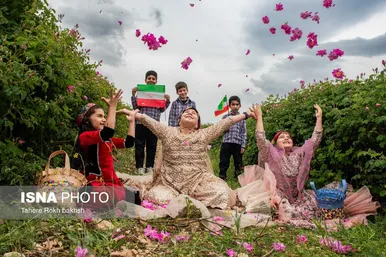 گزارش تصویری | برداشت گل محمدی و تهیه گلاب به یاد دانش‌آموزان شهید میناب - میمند