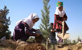 کاشت نهال توسط خانواده&zwnj;ها و کودکان در کمربند سبز مشهد